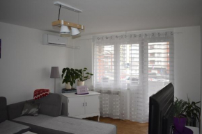 Apartman Milicevic